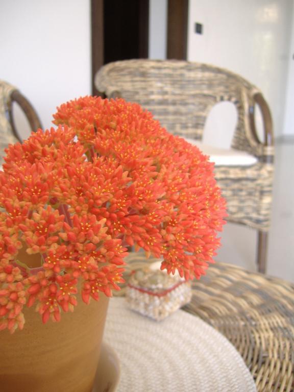 B&B Corallo Capilungo Bagian luar foto